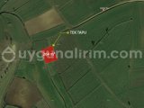 TEKİRDAĞ MALKARA KALAYCI'DA 264 m²/ 626 m² 2 ADET YAN YANA TEK TAPU ARAZİ