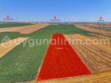 LÜLEBURGAZ EVRENSEKİZDE KÖYE ÇOK YAKIN  14.360  m² TEK TAPU ARAZİ