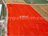 LÜLEBURGAZ EVRENSEKİZ FABRİKALARIN HEMEN YANI 8.500 m² FIRSAT !!