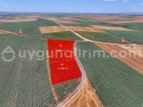 EVRENSEKİZ FATİH'TE 8.300 M2 YATIRIMLIK ARSA