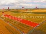     KIRKLARELİ  LÜLEBURGAZ EVRENSEKİZ  *5.167 M2