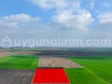 LÜLEBURGAZ/EVRENSEKİZ/KIRCAALİ - 500 m²/ KADASTRO YOLA CEPHE TARLA