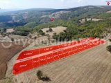 TEKİRDAĞ ŞARKÖY GÜZELKÖYDE 188.000 TL'YE ARSA SAHİBİ OL
