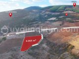 Tekirdağ/Şarköy/Yayaköy'de 6.065 m² - DENİZ MANZARALI/TEK TAPU