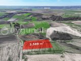 İSTANBUL SİLİVRİ DEĞİRMENKÖY'DE 2589 m² - TEK TAPU MÜKEMMEL ARAZİ 