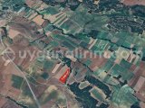 KIRKLARELİ VİZE DOĞANCA'DA 7.500 m² - TEK TAPU MERAYA CEPHE - TARLA