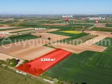 KIRKLARELİ BABAESKİ NAÇAK'DA 3.568 M2 TEK TAPU SATILIK FIRSAT !!