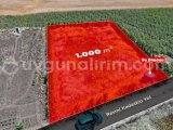 İSTANBUL SİLİVRİ AKÖREN'DE 1.000 m² - YAPILAŞMANIN İÇİNDE FIRSAT